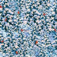 ttDONA-CD4185 FROST